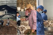 公司取名奇富科技百万帮扶云南中屏镇：菌菇田里的振兴密码与“村BA”的双向奔赴