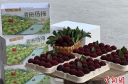 公司取名高速赋能产业升级：一条“杨梅路”的致富密码