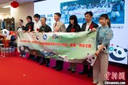 公司取名中国彩绘熊猫艺术国际巡展东京站开幕
