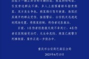 公司取名重庆一司机因持续鸣笛引发争执 强行驶离致1人死亡4人受伤